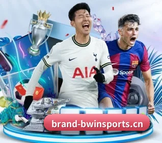 每个板块围绕一个运动项目展开(BWIN SPORTS)